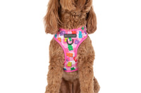 ADJUSTABLE DOG HARNESS: Beary Sweet