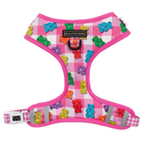 ADJUSTABLE DOG HARNESS: Beary Sweet