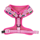 ADJUSTABLE DOG HARNESS: Beary Sweet