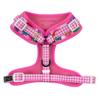 ADJUSTABLE DOG HARNESS: Beary Sweet