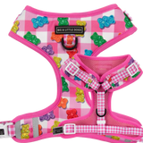 ADJUSTABLE DOG HARNESS: Beary Sweet