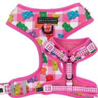 ADJUSTABLE DOG HARNESS: Beary Sweet