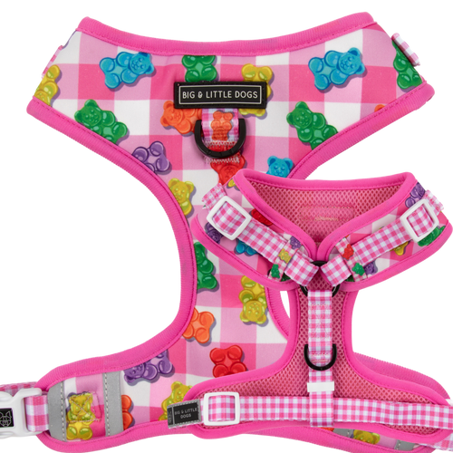 ADJUSTABLE DOG HARNESS (with NECK CLIP option): Beary Sweet