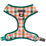 ADJUSTABLE DOG HARNESS: Candy Lane Plaid