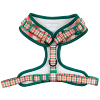 ADJUSTABLE DOG HARNESS: Candy Lane Plaid
