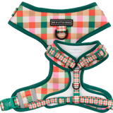 CHRISTMAS EXTRAVAGANZA BOX: "Candy Lane Plaid" Adjustable Harness & Collar
