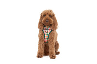 ADJUSTABLE DOG HARNESS: Candy Lane Plaid