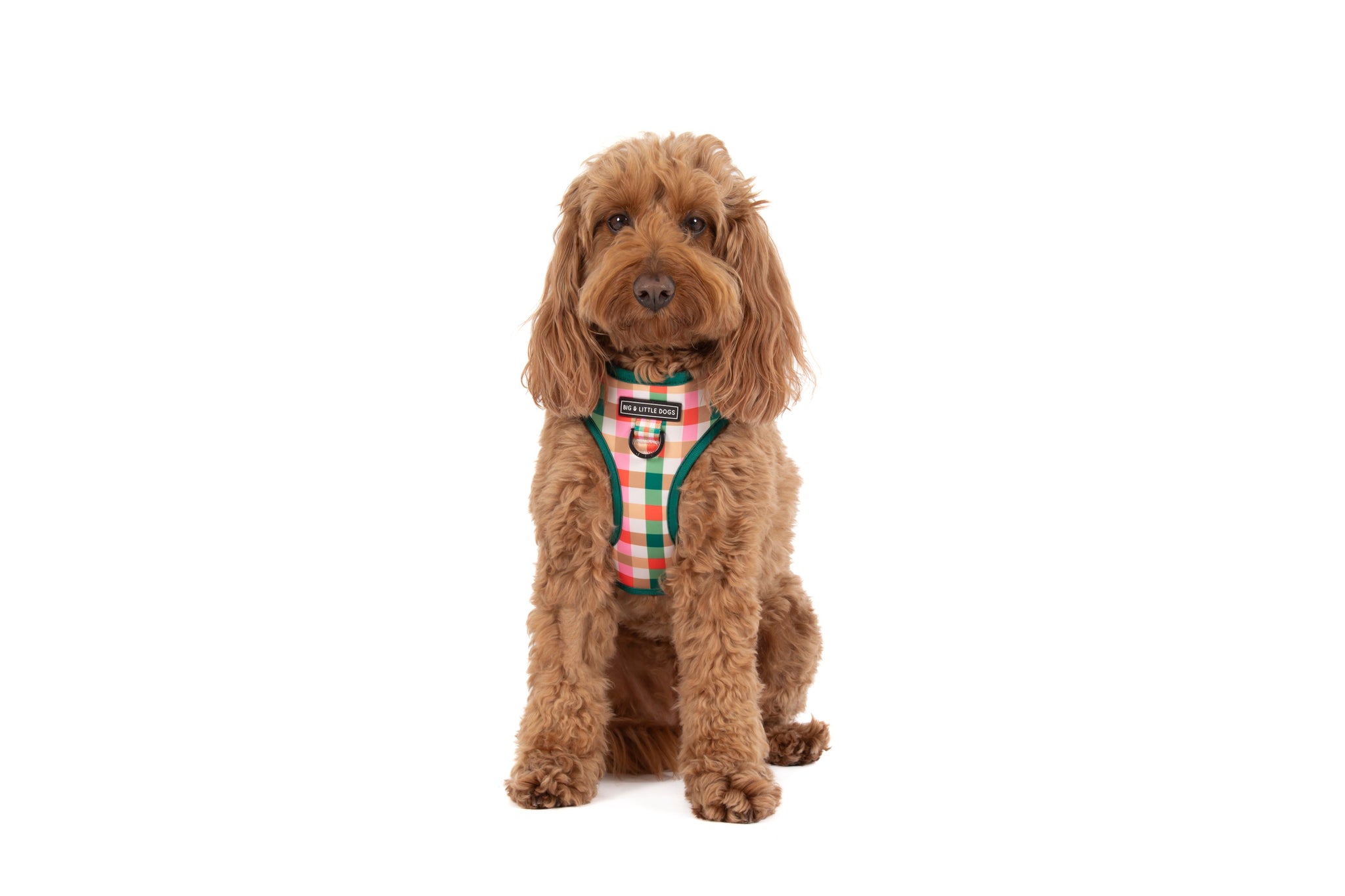 ADJUSTABLE DOG HARNESS: Candy Lane Plaid