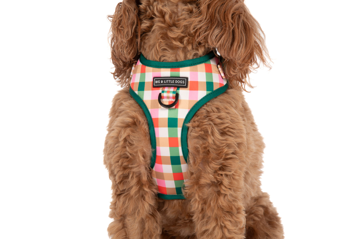 ADJUSTABLE DOG HARNESS: Candy Lane Plaid
