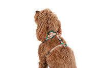 ADJUSTABLE DOG HARNESS: Candy Lane Plaid