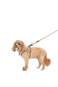 ADJUSTABLE DOG HARNESS: Candy Lane Plaid