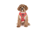 ADJUSTABLE DOG HARNESS: Cherrylicious