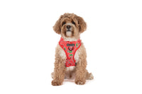 ADJUSTABLE DOG HARNESS: Cherrylicious