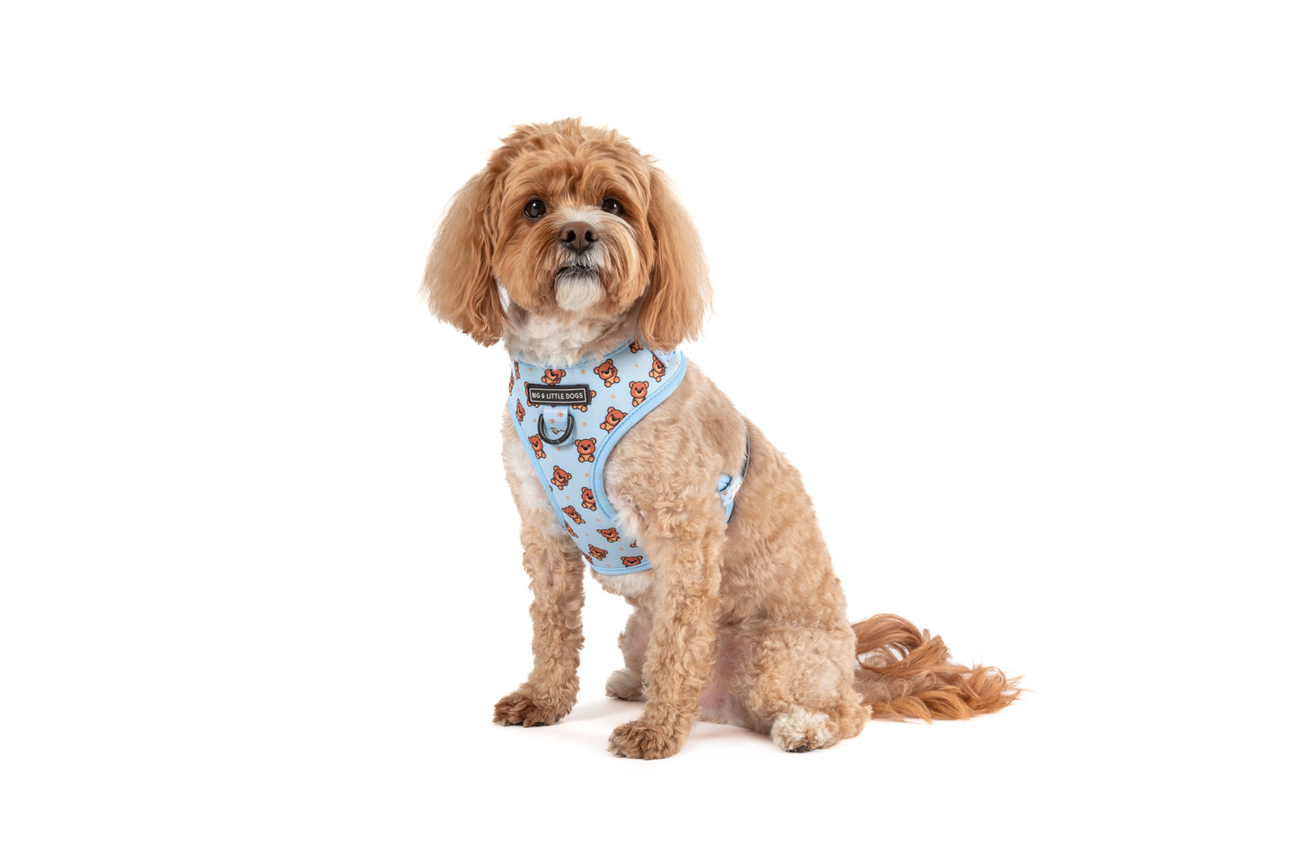 ADJUSTABLE DOG HARNESS: Cuddle Club