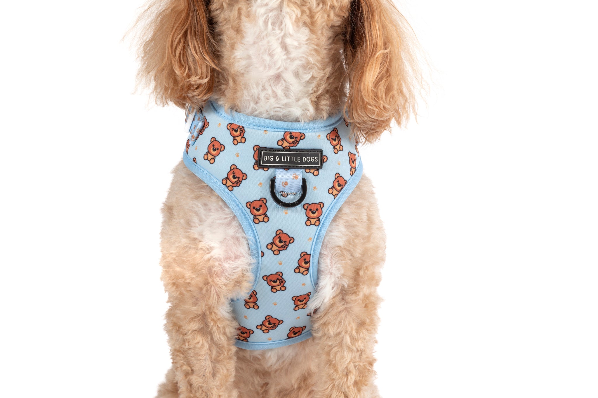 ADJUSTABLE DOG HARNESS: Cuddle Club