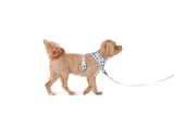 ADJUSTABLE DOG HARNESS: Cuddle Club