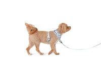 ADJUSTABLE DOG HARNESS: Cuddle Club