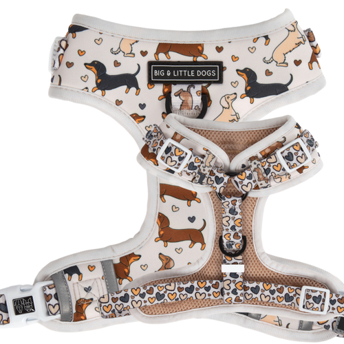 Adjustable dog harness with a pattern of dachshunds, hearts, and love-themed graphics in beige, brown, and orange tones.