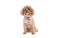 ADJUSTABLE DOG HARNESS: Dashing Through The Stars