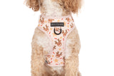 ADJUSTABLE DOG HARNESS: Dashing Through The Stars