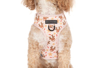 ADJUSTABLE DOG HARNESS: Dashing Through The Stars