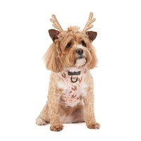 ADJUSTABLE DOG HARNESS: Dashing Through The Stars