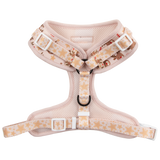 ADJUSTABLE DOG HARNESS: Dashing Through The Stars