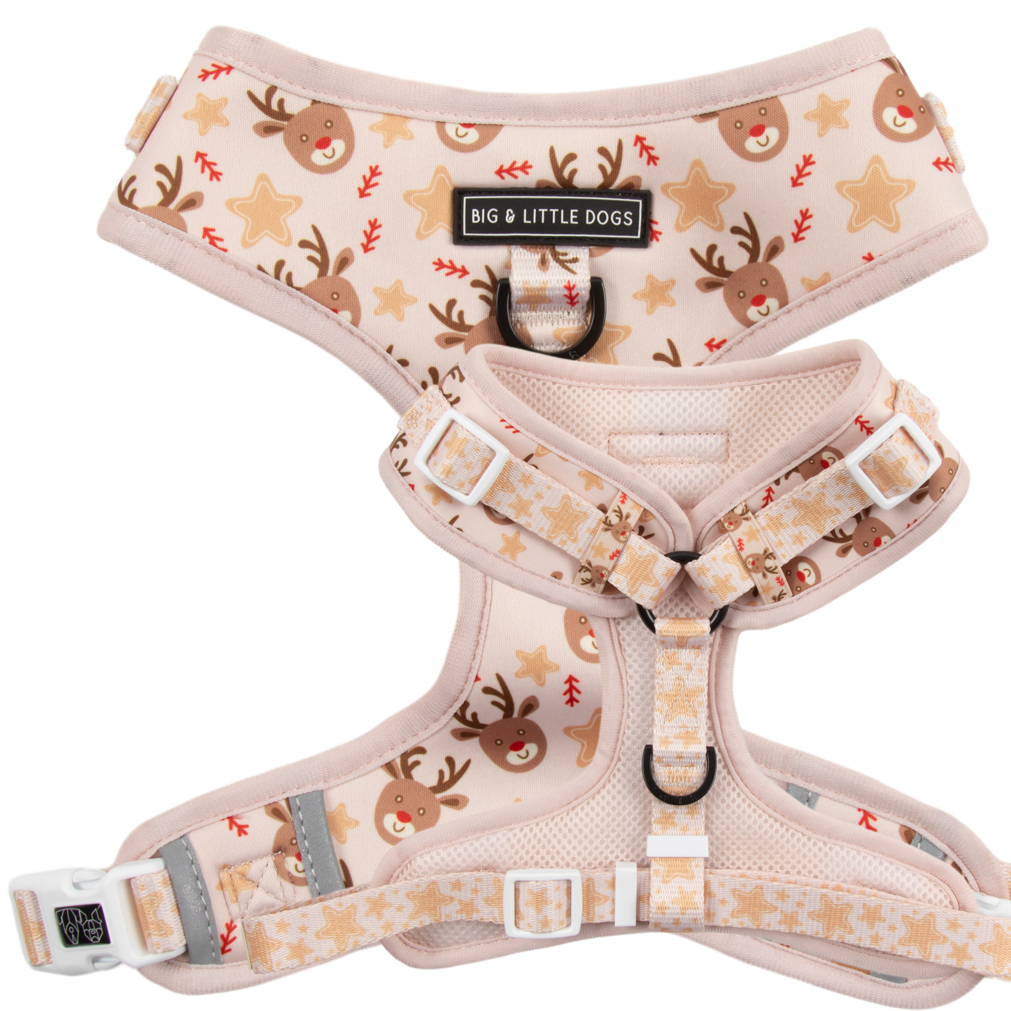 CHRISTMAS EXTRAVAGANZA BOX: "Dashing Through The Stars" Adjustable Harness & Collar