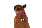 ADJUSTABLE DOG HARNESS: Gingerbread Cutie