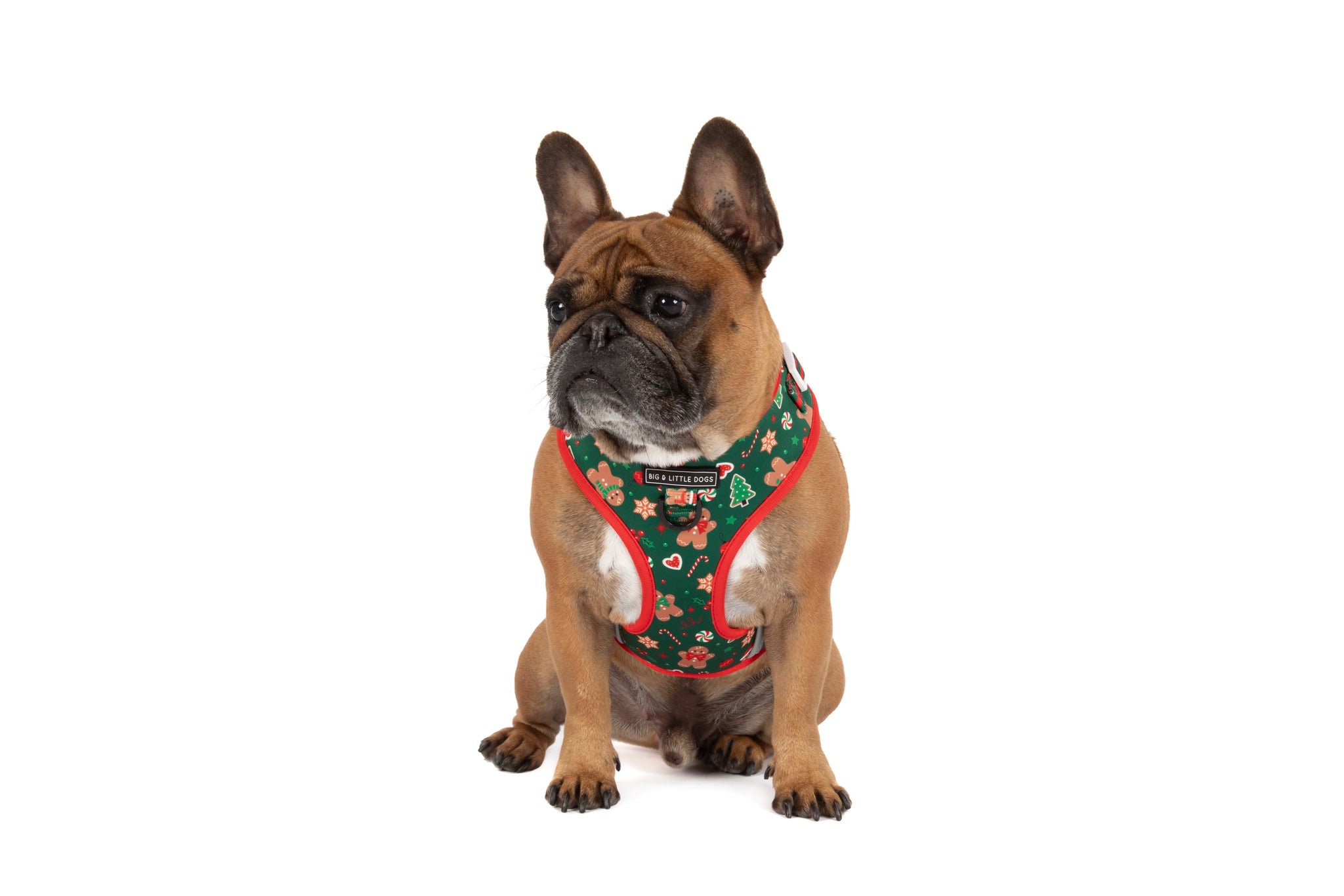 ADJUSTABLE DOG HARNESS: Gingerbread Cutie