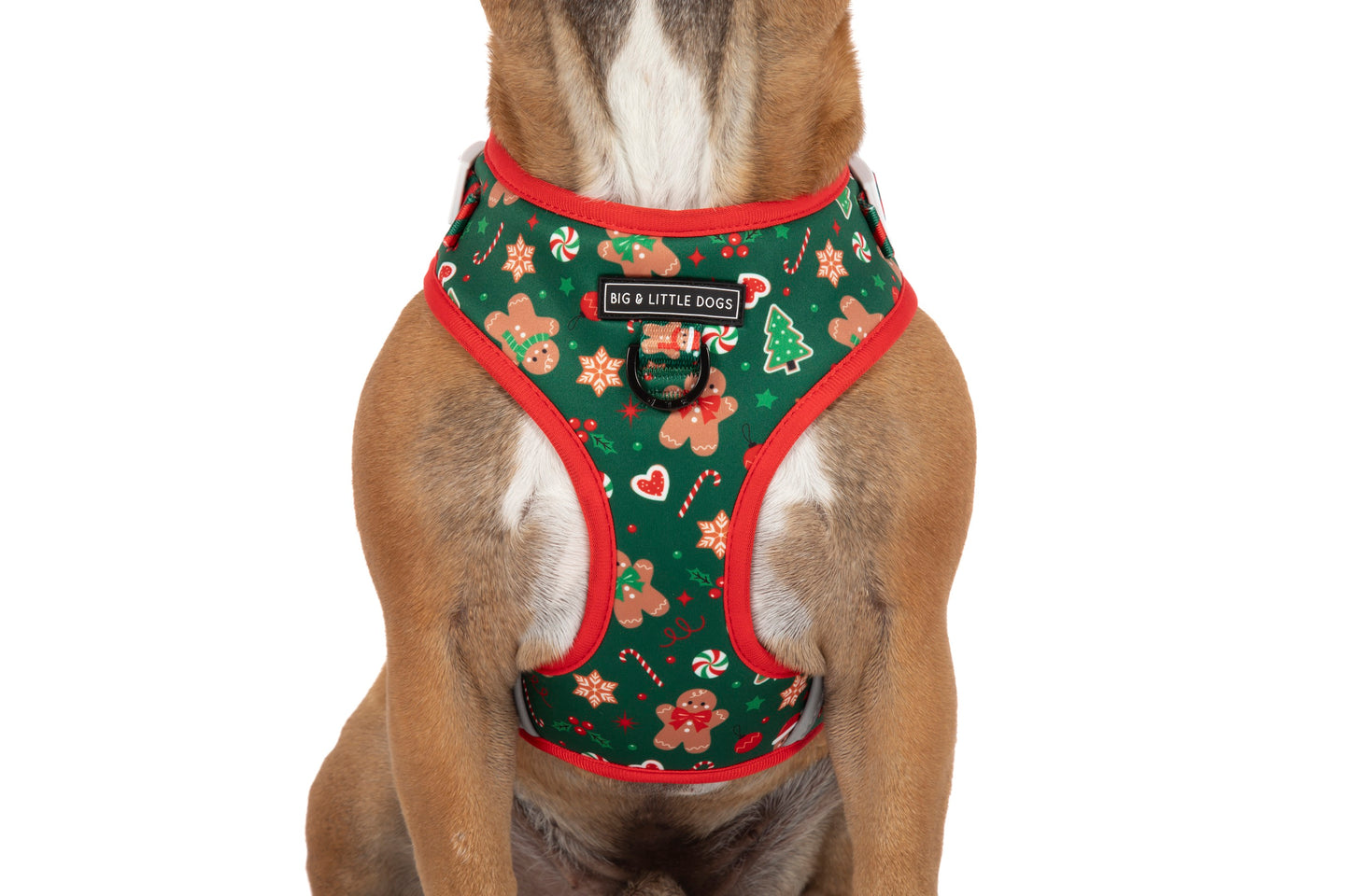 ADJUSTABLE DOG HARNESS: Gingerbread Cutie