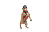 ADJUSTABLE DOG HARNESS: Gingerbread Cutie