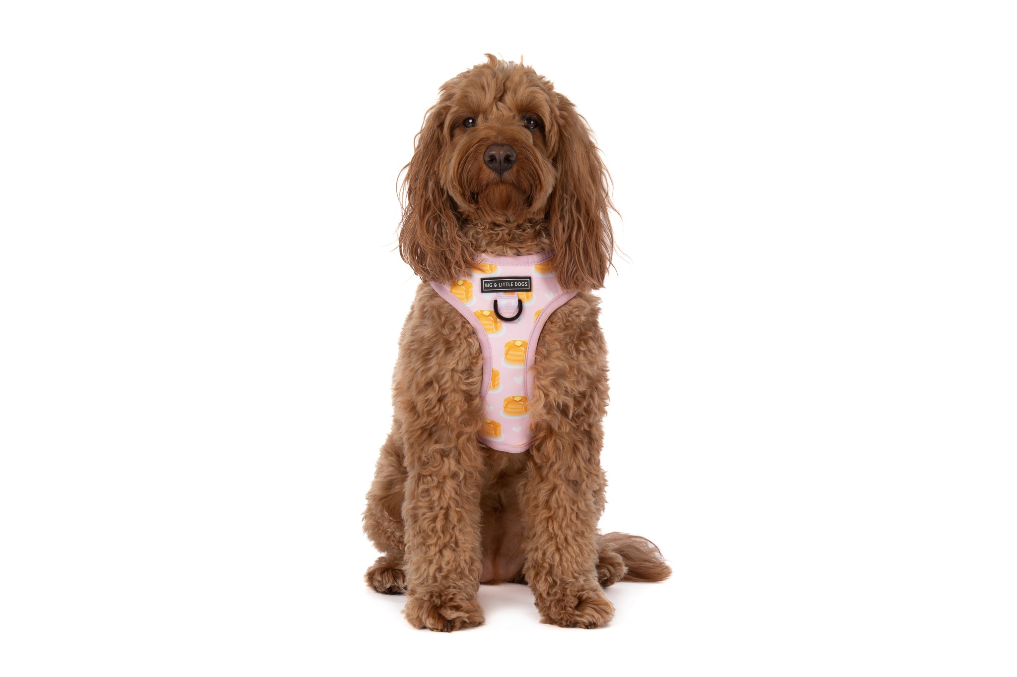 ADJUSTABLE DOG HARNESS: I Flippin' Love You {FINAL SALE}