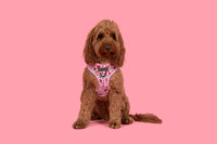 ADJUSTABLE DOG HARNESS: I Woof You {FINAL SALE}