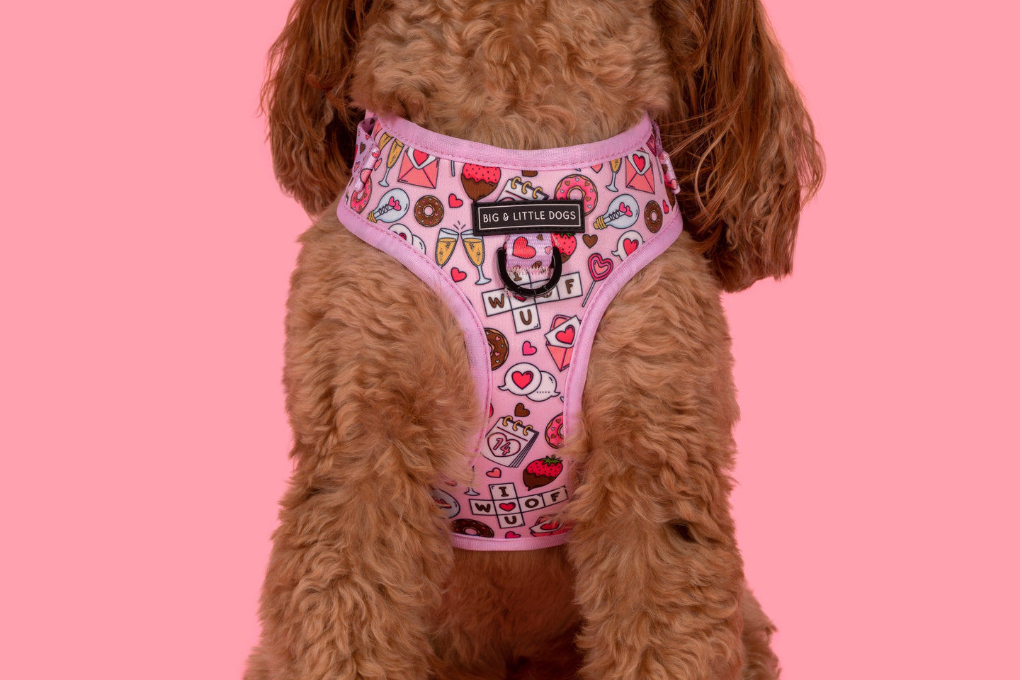 ADJUSTABLE DOG HARNESS: I Woof You {FINAL SALE}