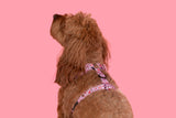 ADJUSTABLE DOG HARNESS: I Woof You {FINAL SALE}