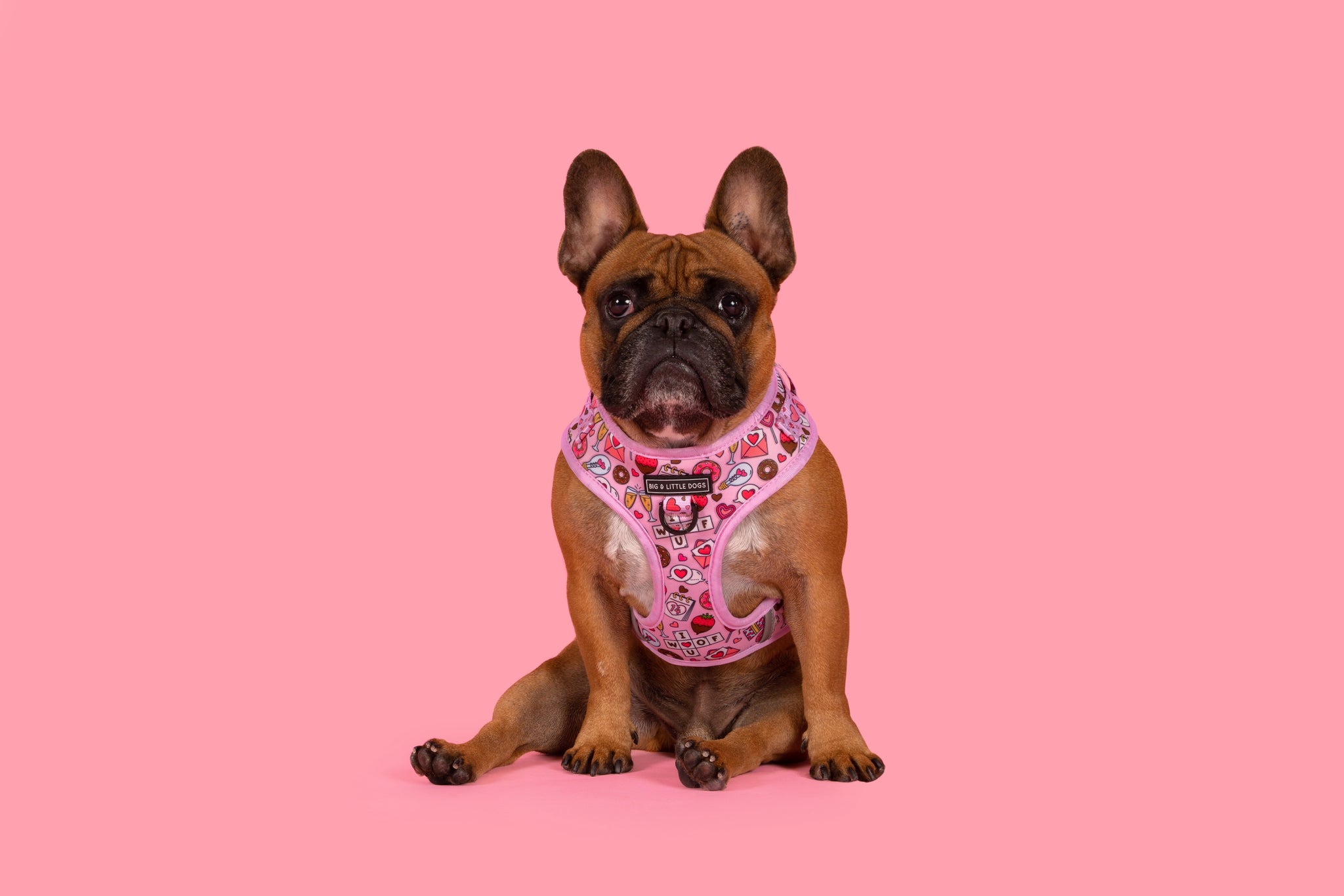 ADJUSTABLE DOG HARNESS: I Woof You {FINAL SALE}