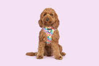 ADJUSTABLE DOG HARNESS: Love Wins {FINAL SALE}