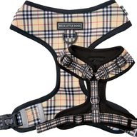 ADJUSTABLE DOG HARNESS: Nova Plaid (NEW!)