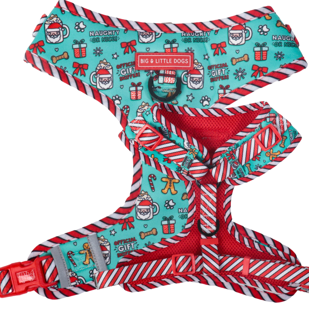 ADJUSTABLE DOG HARNESS: Official Gift Sniffer (NEW!)