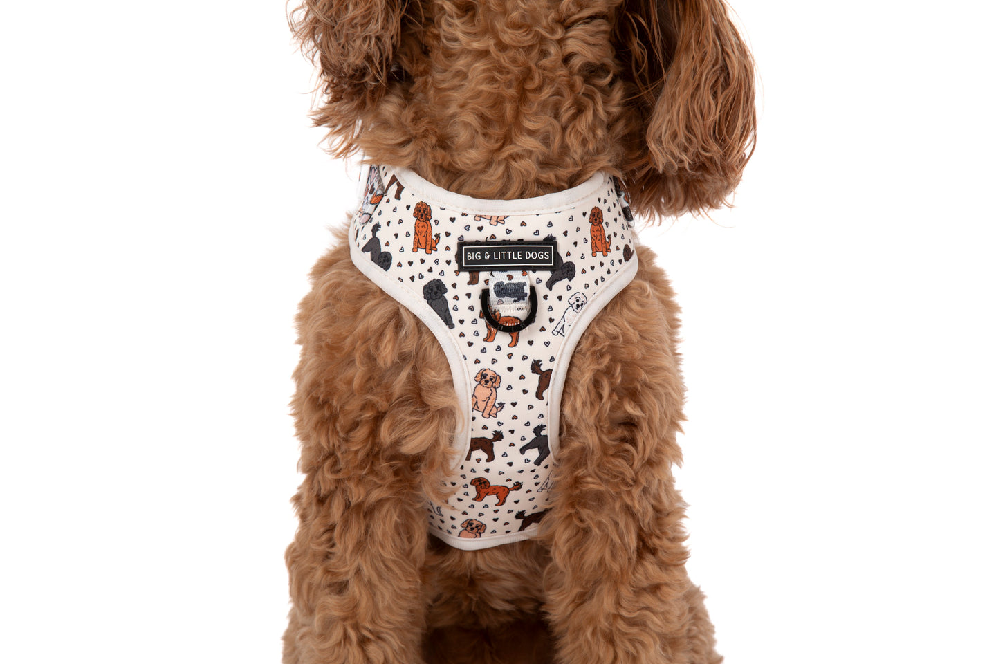 ADJUSTABLE DOG HARNESS: Oodles of Love