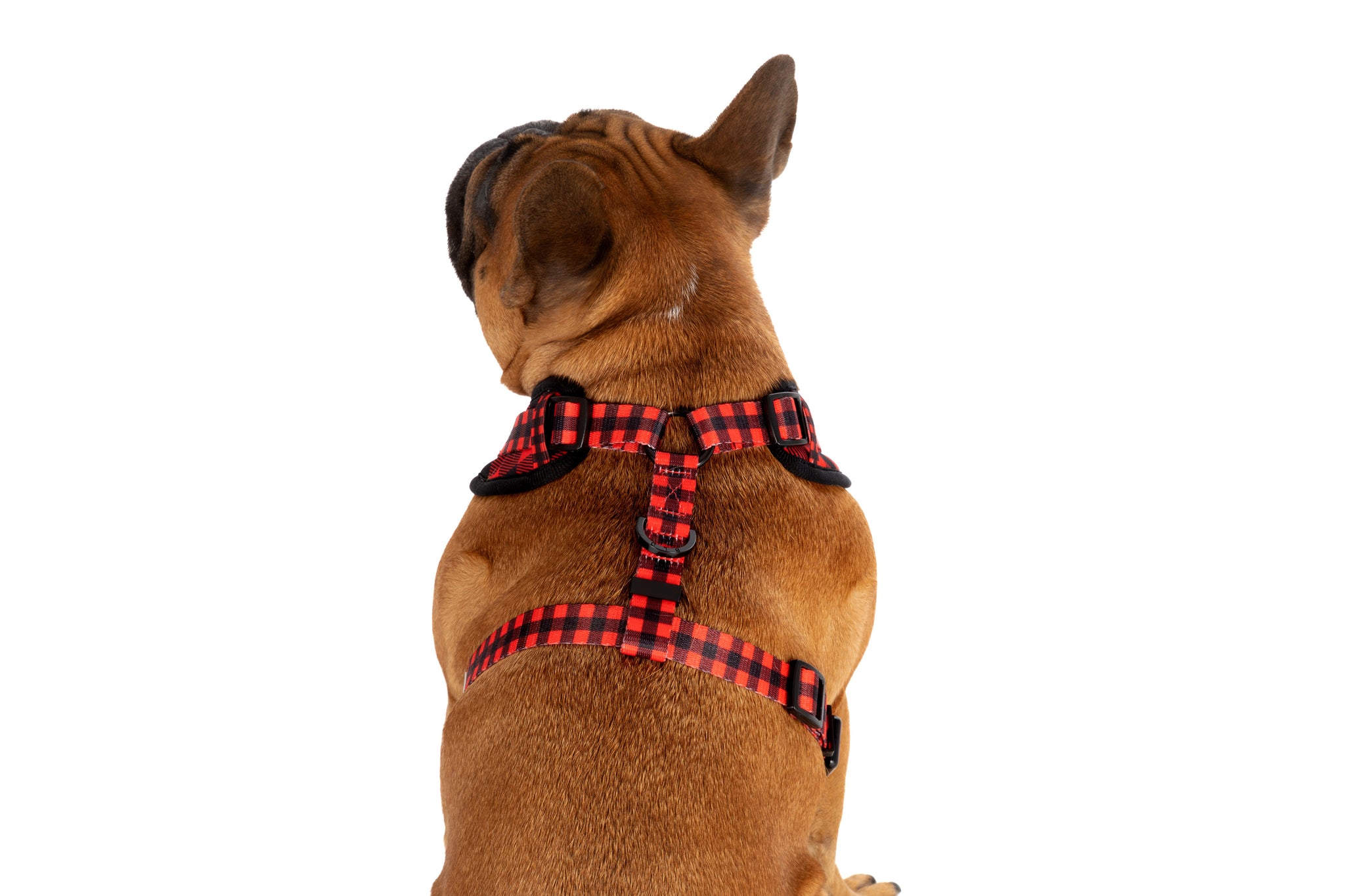 ADJUSTABLE DOG HARNESS: Plaid to the Bone