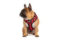 ADJUSTABLE DOG HARNESS: Plaid to the Bone