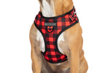 ADJUSTABLE DOG HARNESS: Plaid to the Bone