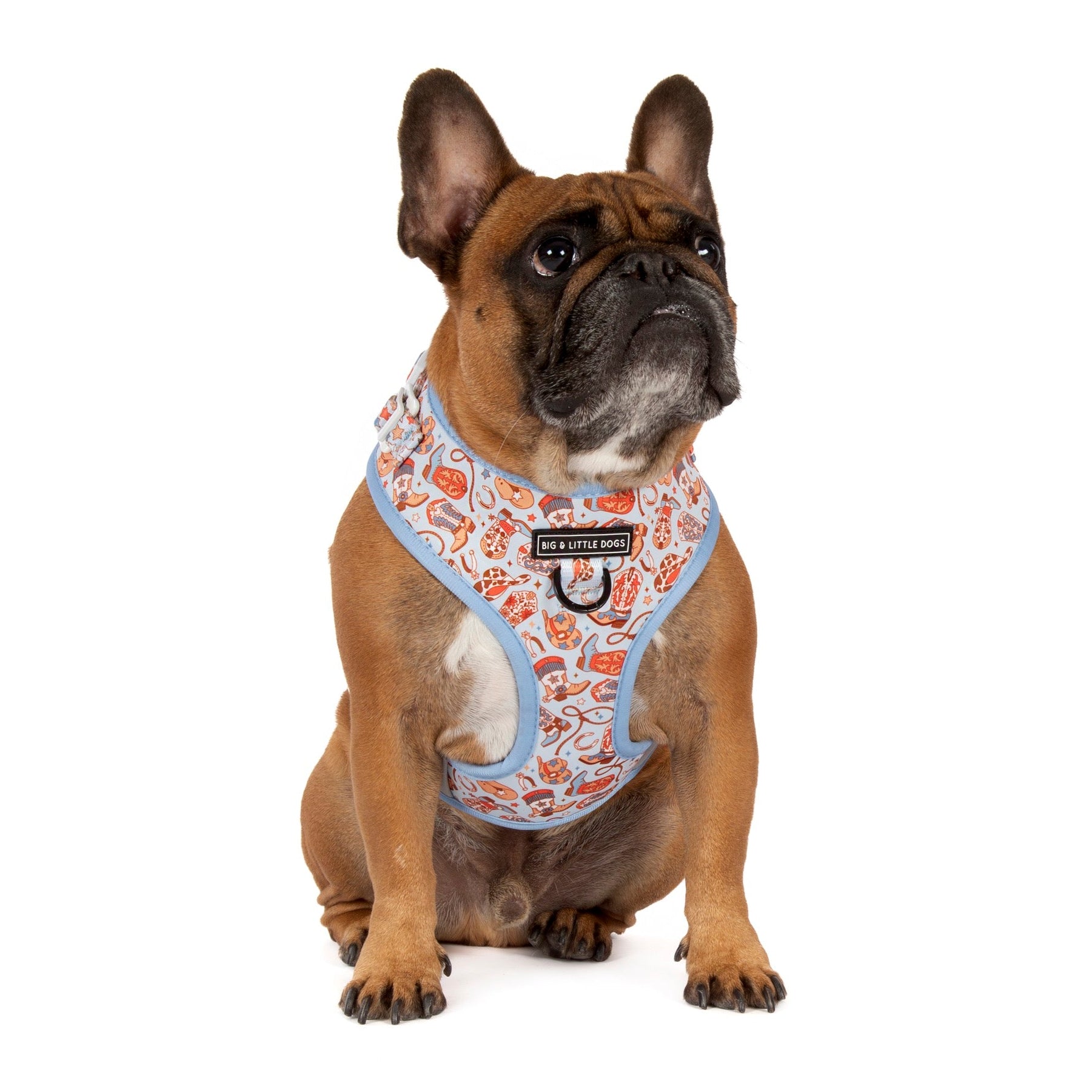 ADJUSTABLE DOG HARNESS (WITH NECK CLIP): Rodeo King
