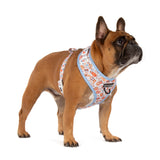 ADJUSTABLE DOG HARNESS (WITH NECK CLIP): Rodeo King