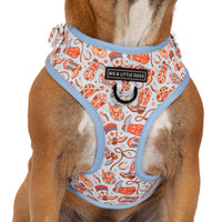 ADJUSTABLE DOG HARNESS (WITH NECK CLIP): Rodeo King