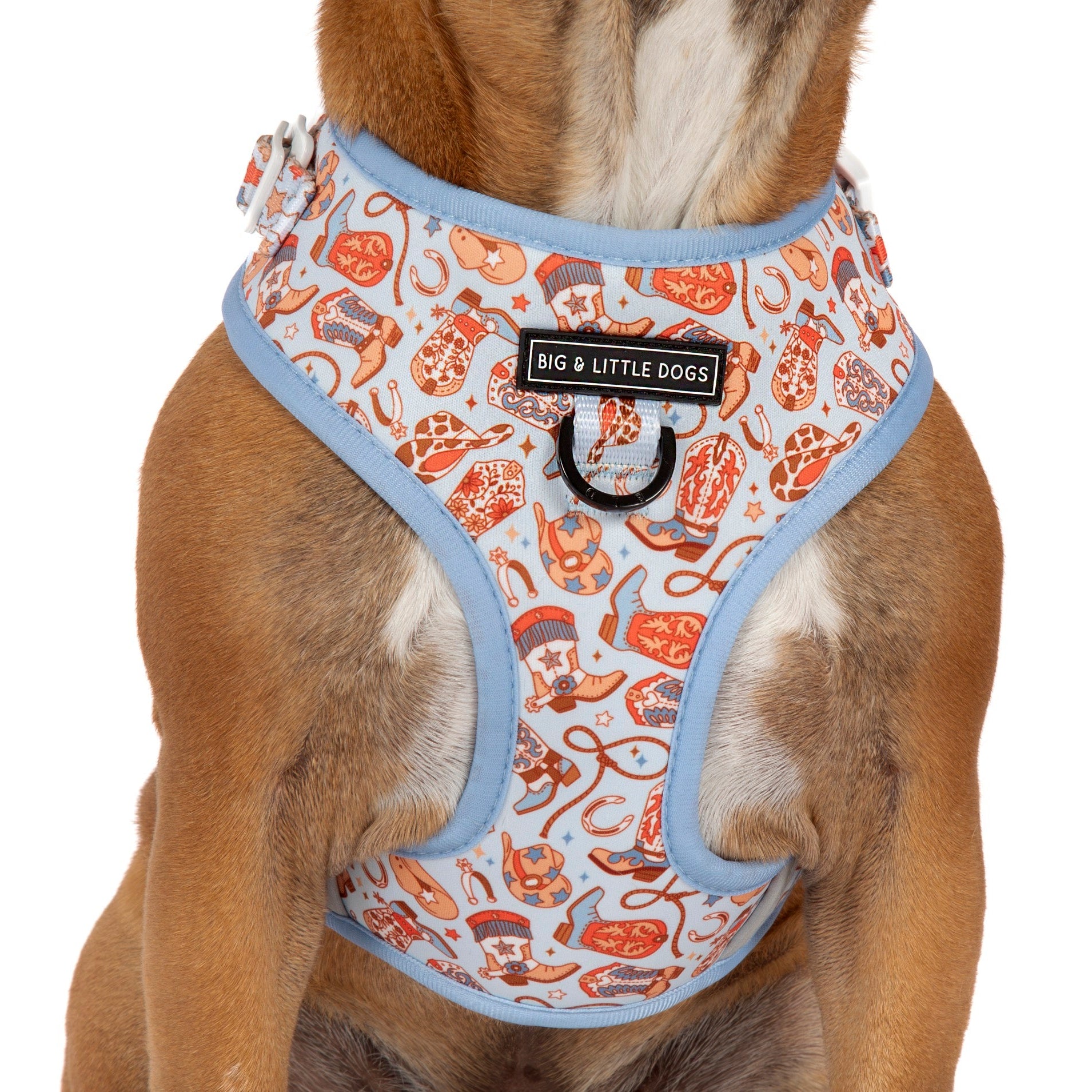 ADJUSTABLE DOG HARNESS (WITH NECK CLIP): Rodeo King