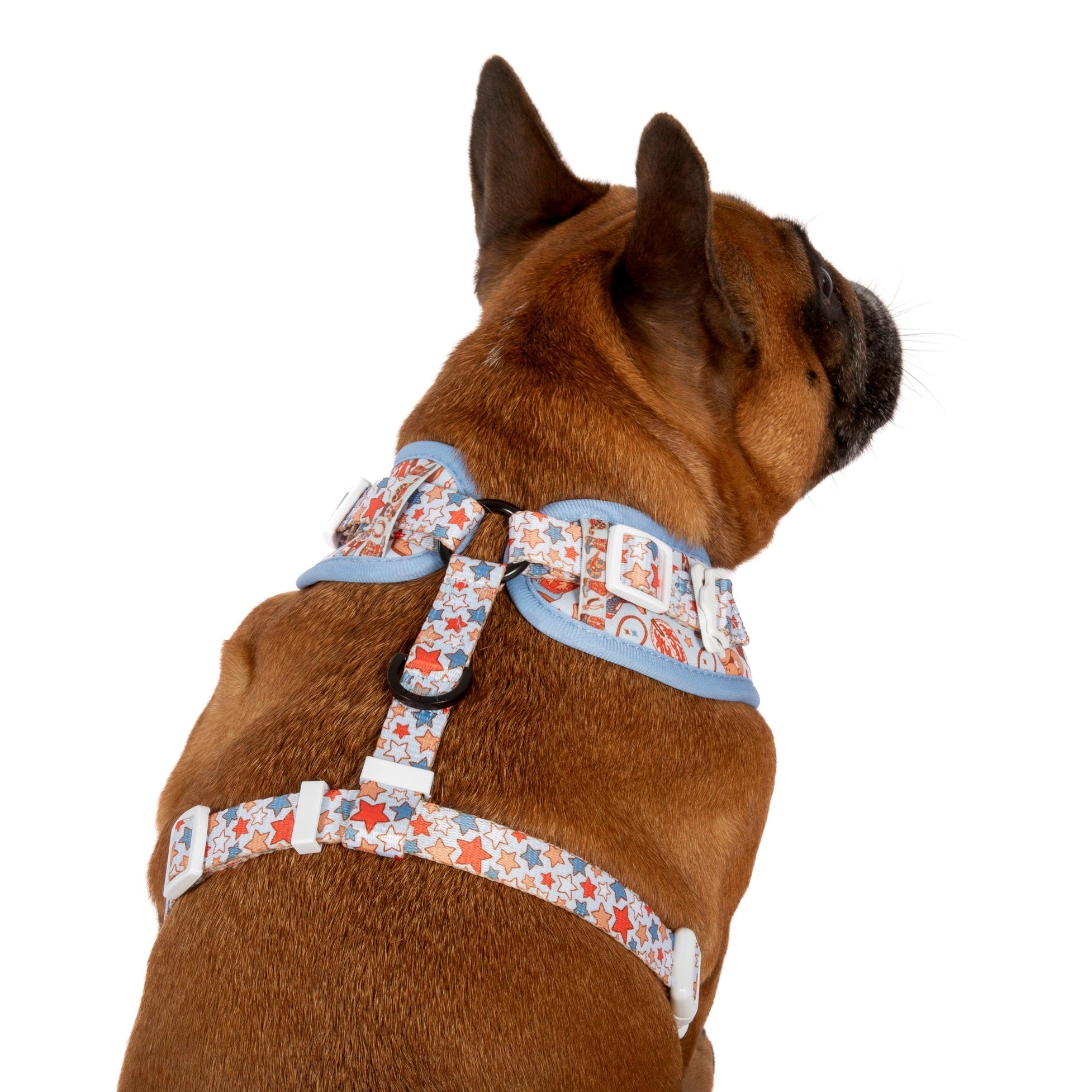 ADJUSTABLE DOG HARNESS (WITH NECK CLIP): Rodeo King