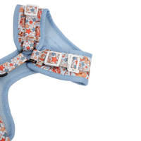 ADJUSTABLE DOG HARNESS (WITH NECK CLIP): Rodeo King